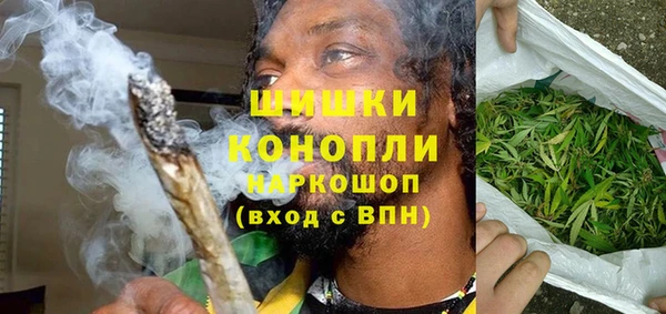 прущий лед Вяземский